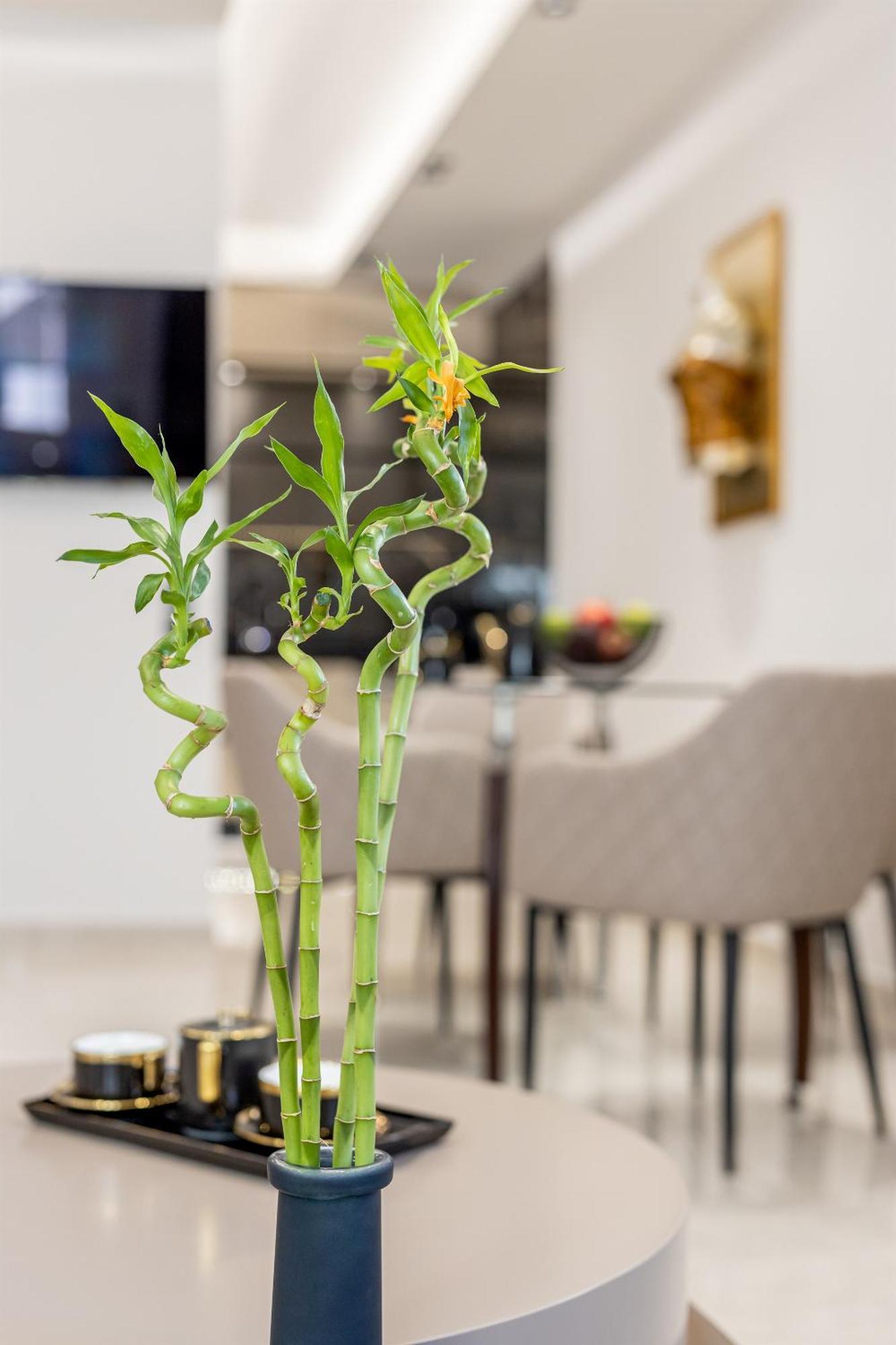 Vivian'S Luxury Suite Monemvasziá Kültér fotó
